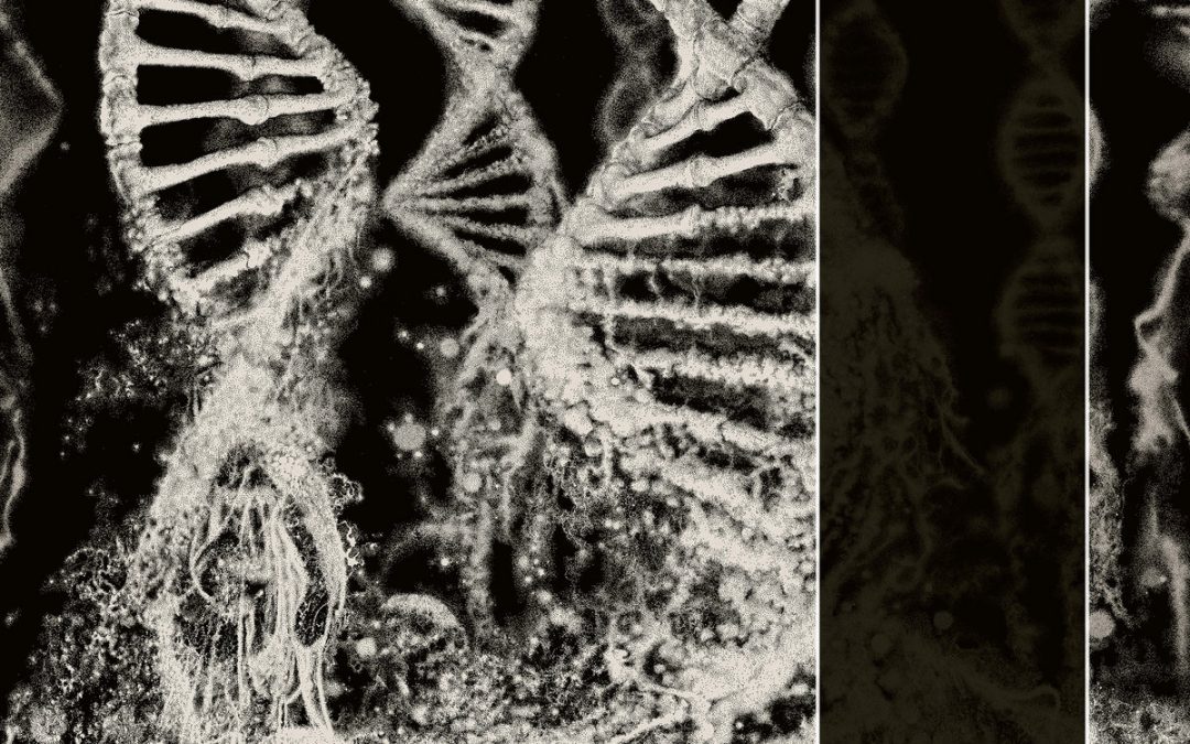 CORONER – Dissonance theory, 2025.