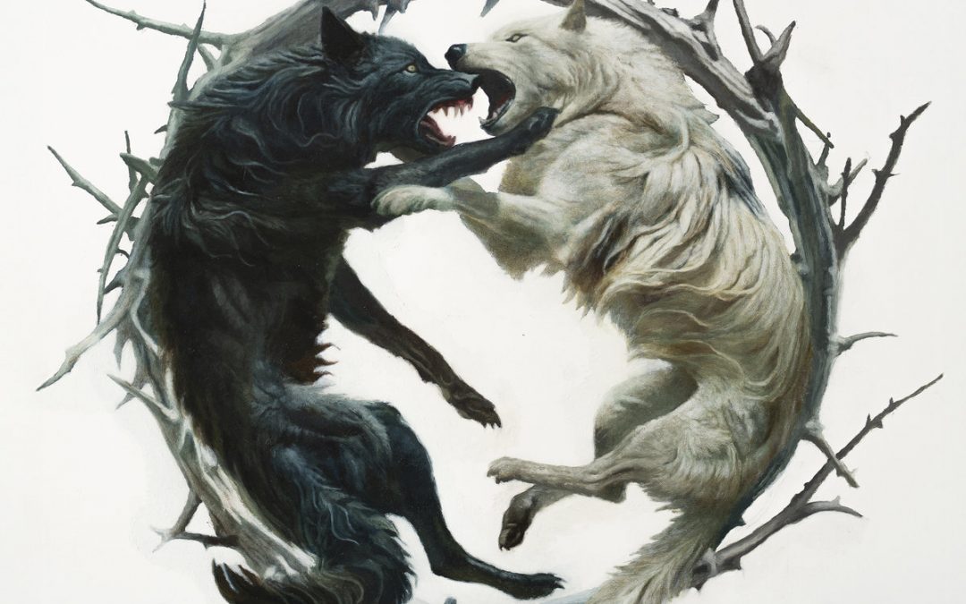 STELLAR CIRCUITS – Phantom::Phoenix, 2025.