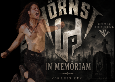 HÜ 572 - Chris Cornell