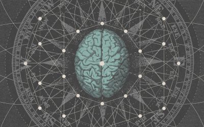 BIPOLAR ARCHITECTURE – Metaphysicize, 2024