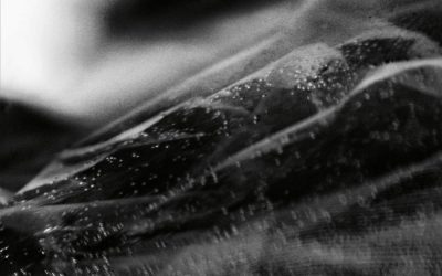 GROZA – Nadir, 2024.