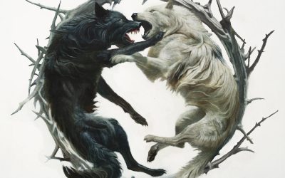 STELLAR CIRCUITS – Phantom::Phoenix, 2025.