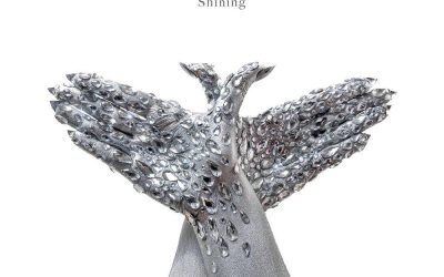 SWALLOW THE SUN – Shining, 2024.